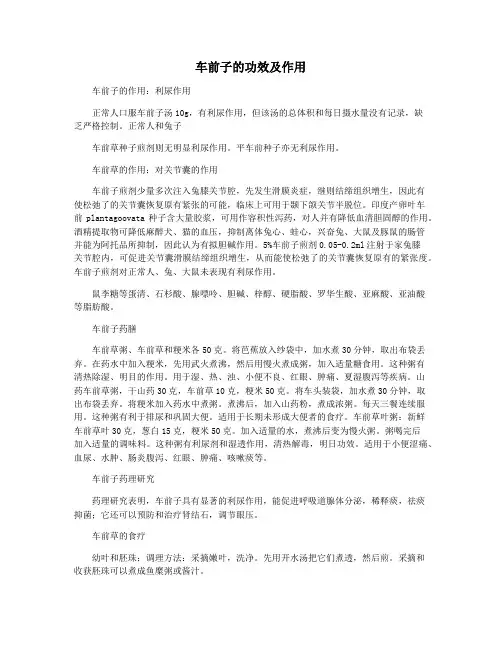 车前子的功效及作用
