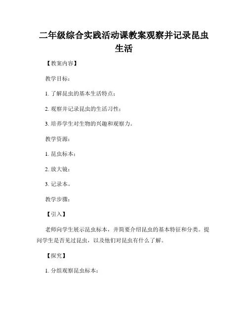 二年级综合实践活动课教案观察并记录昆虫生活