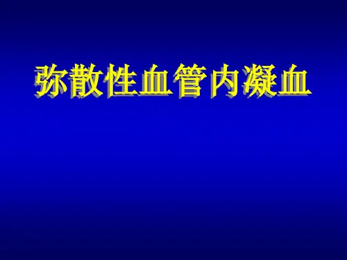 DIC课件