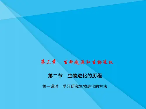 生命起源和生物进化PPT课件3(5份) 人教版3优秀课件