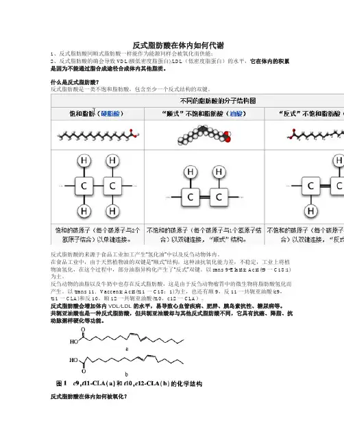 反式脂肪酸在体内如何代谢