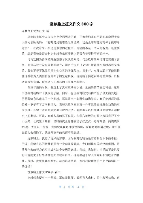 逐梦路上征文作文800字