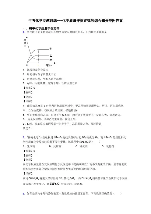 中考化学专题训练---化学质量守恒定律的综合题分类附答案