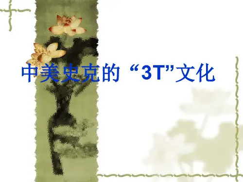 中美史克案例分析