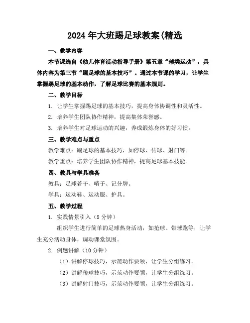 2024年大班踢足球教案(精选