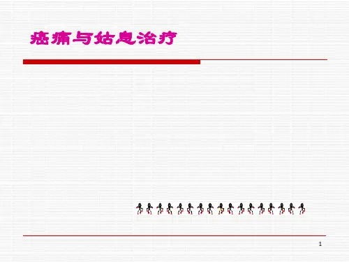 癌痛与姑息治疗PPT课件