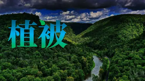 《植被》植被与土壤PPT课件