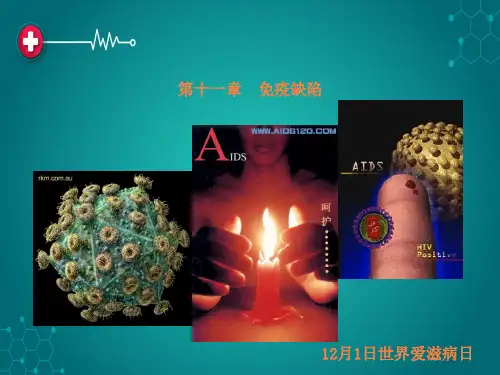 第十一章-免疫缺陷ppt课件