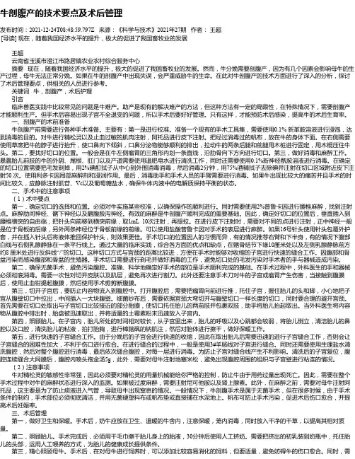 牛剖腹产的技术要点及术后管理