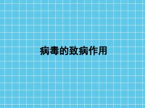 病毒的致病作用