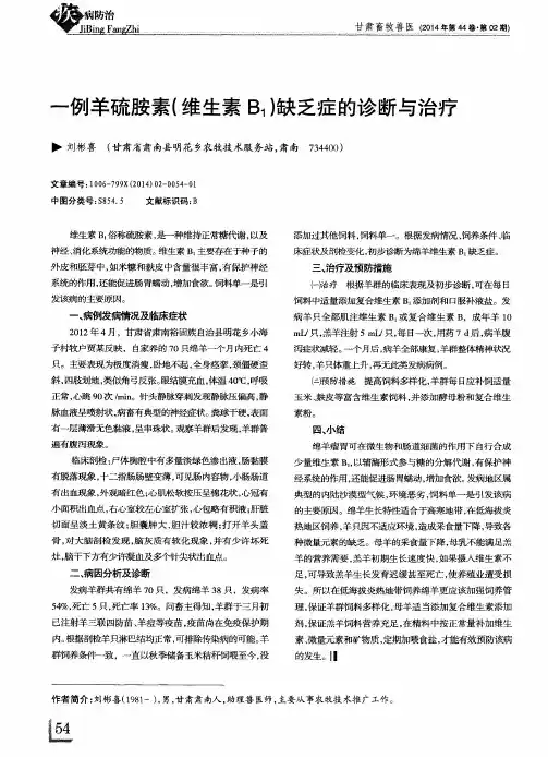 一例羊硫胺素(维生素B1)缺乏症的诊断与治疗