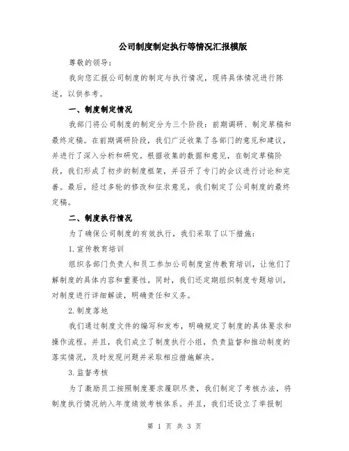 公司制度制定执行等情况汇报模版