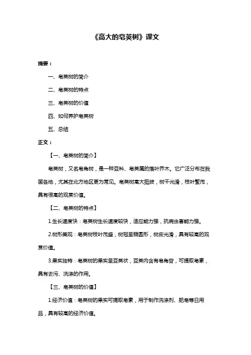《高大的皂荚树》课文