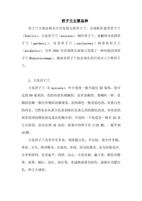 君子兰主要品种