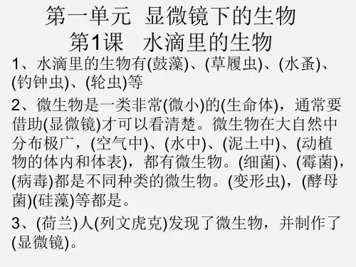苏教版小学科学六年级上册科学知识点