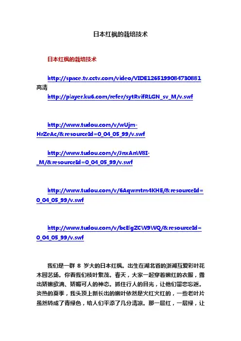 日本红枫的栽培技术