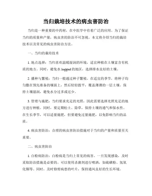 当归栽培技术的病虫害防治
