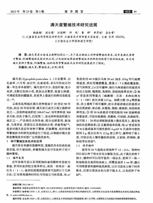 满天星繁殖技术研究进展