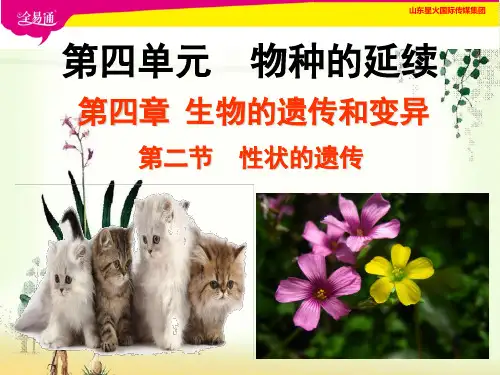 【一线精品】  性状的遗传10   最新优秀公开PPT课件