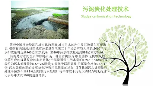 污泥炭化处理
