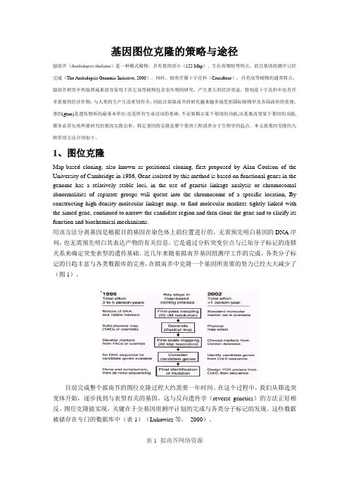 基因图位克隆的策略与途径