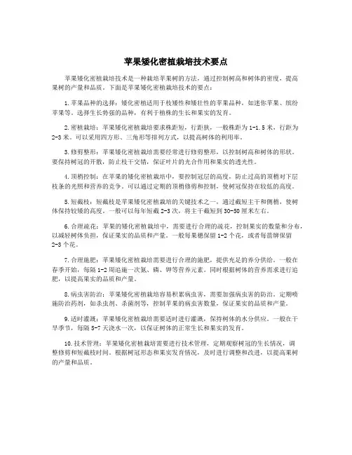 苹果矮化密植栽培技术要点