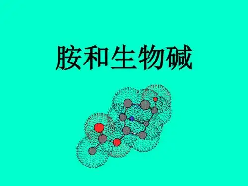 胺和生物碱