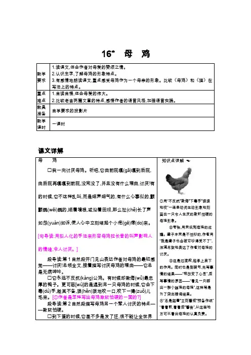 16母鸡课文详解+教案（人教版四年级上册语文）