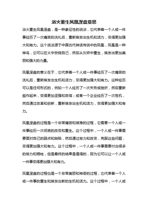 浴火重生凤凰涅盘意思