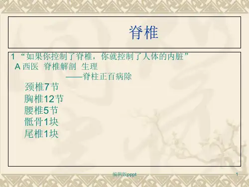 肩颈专业知识PPT课件