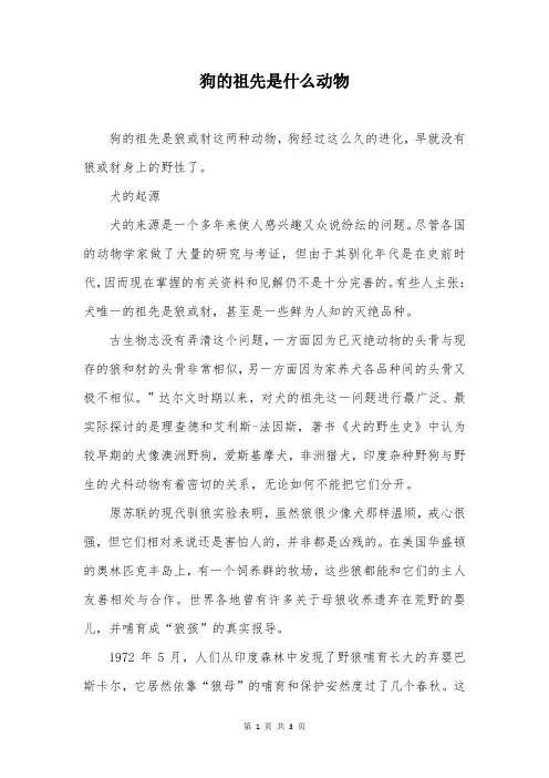 狗的祖先是什么动物