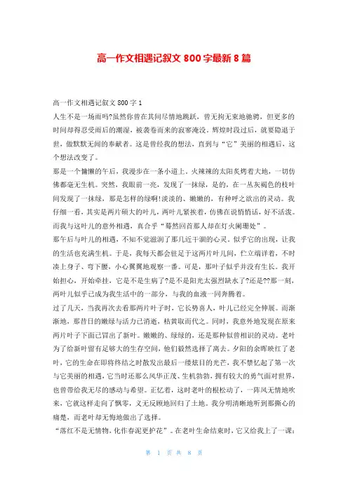 高一作文相遇记叙文800字最新8篇