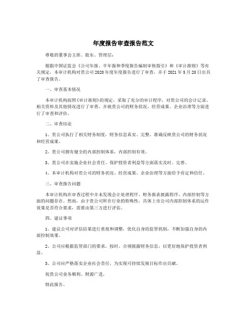 年度报告审查报告范文