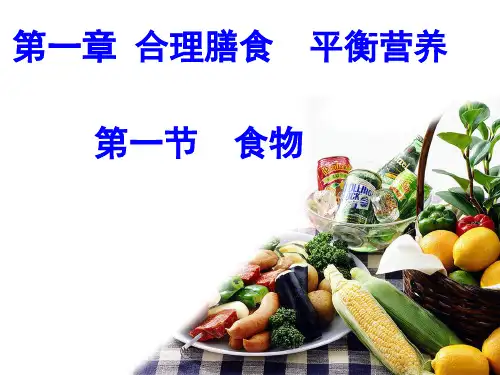 第一节食物