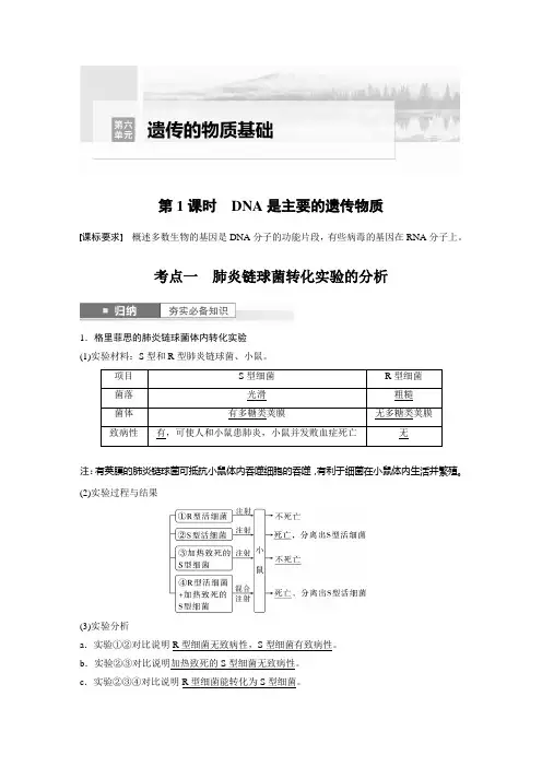 2024届高考一轮复习生物教案(新教材人教版鲁湘辽)：DNA是主要的遗传物质