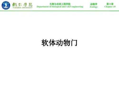 第10章 软体动物门