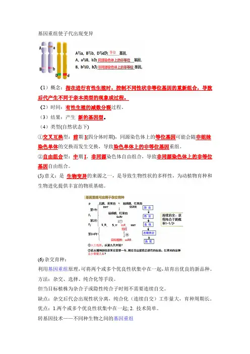 高中生物精品试题：基因重组使子代出现变异