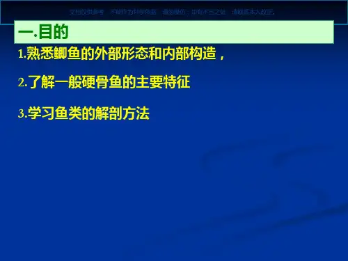 鲫鱼的外形和内脏解剖课件