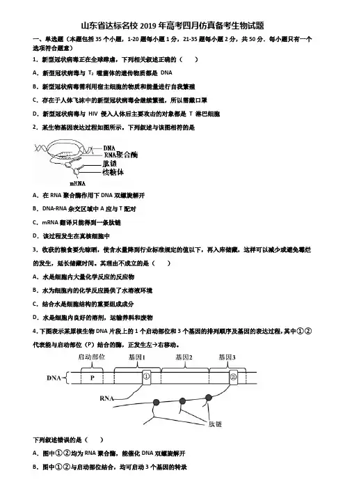山东省达标名校2019年高考四月仿真备考生物试题含解析