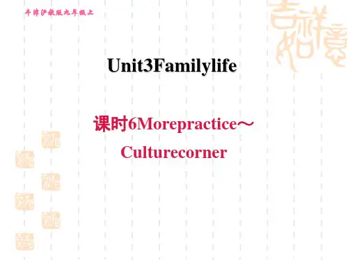 牛津沪教版九上英语Unit 3 课时6 More practice～Culture corner