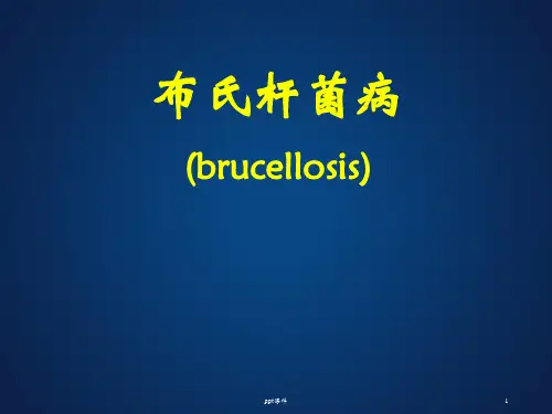 布氏杆菌病 ppt课件