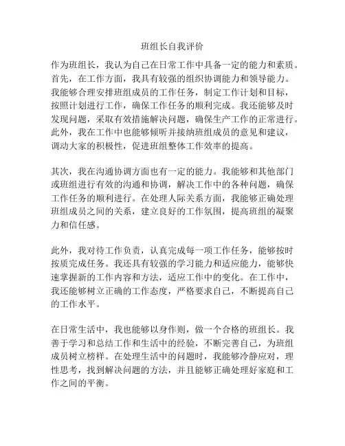 班组长自我评价