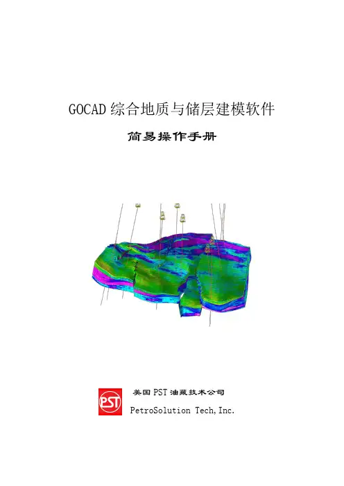 GOCAD 操作手册