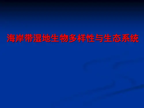海岸带湿地生物多样性与生态系统