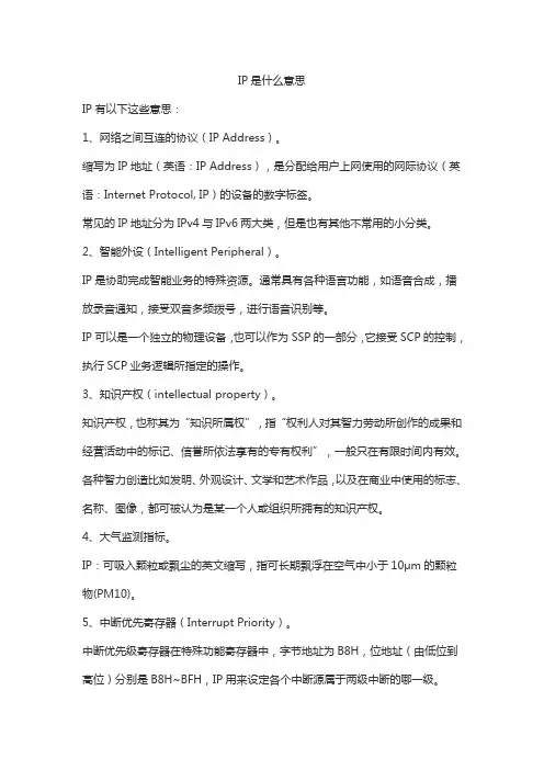 ip是什么意思呢