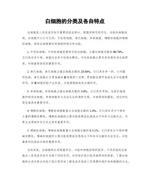 白细胞的分类及各自特点