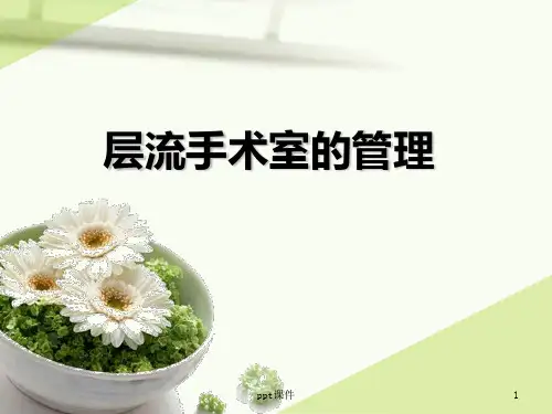 层流手术室的管理  ppt课件