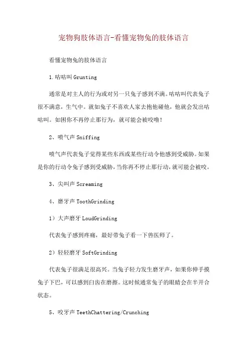宠物狗肢体语言-看懂宠物兔的肢体语言