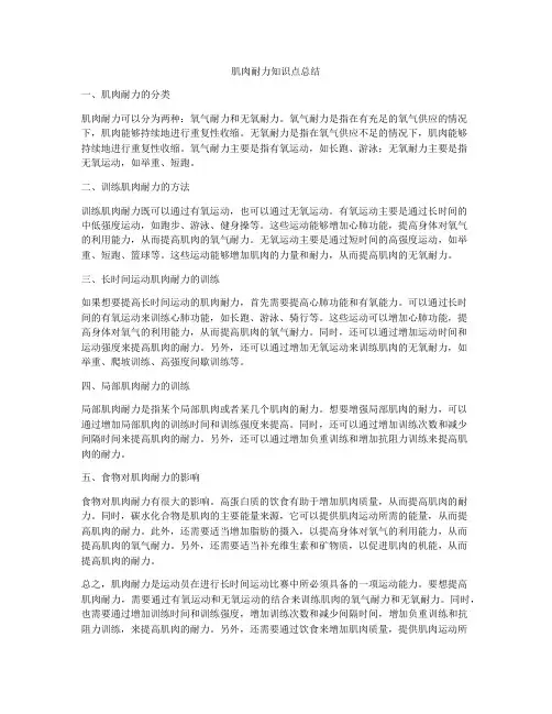 肌肉耐力知识点总结