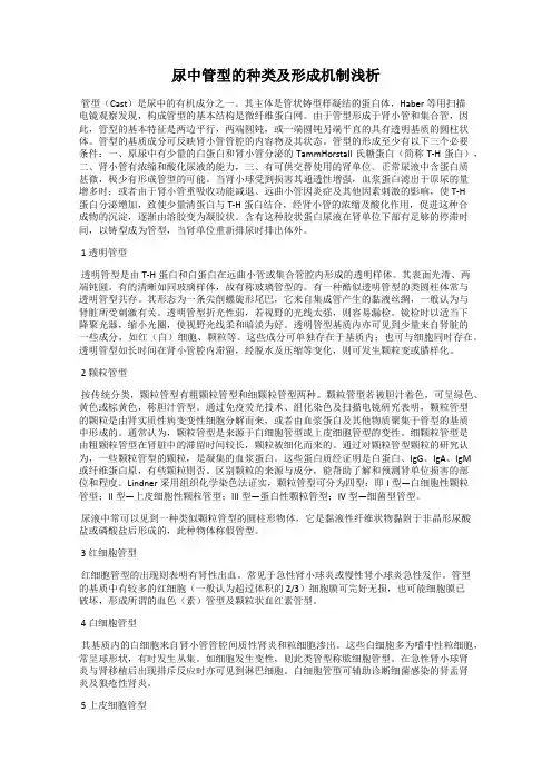 尿中管型的种类及形成机制浅析
